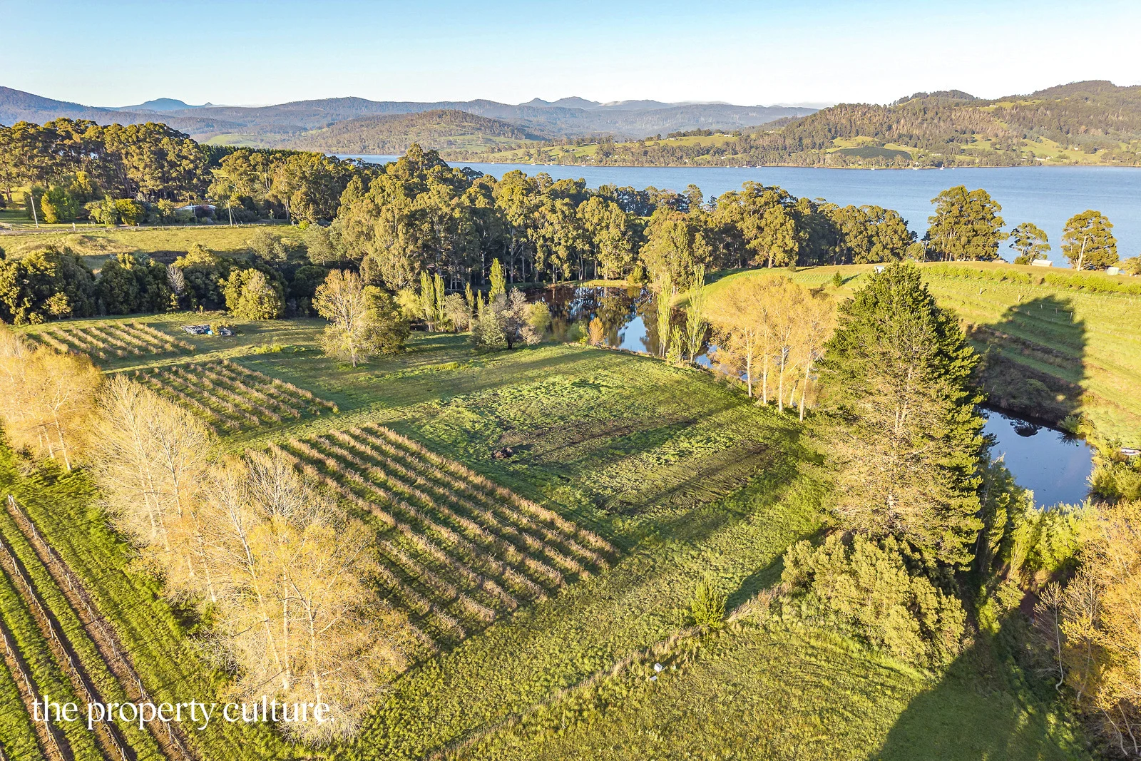 Additional image 16 of 42 Voss Rd, Glaziers Bay TAS 7109
