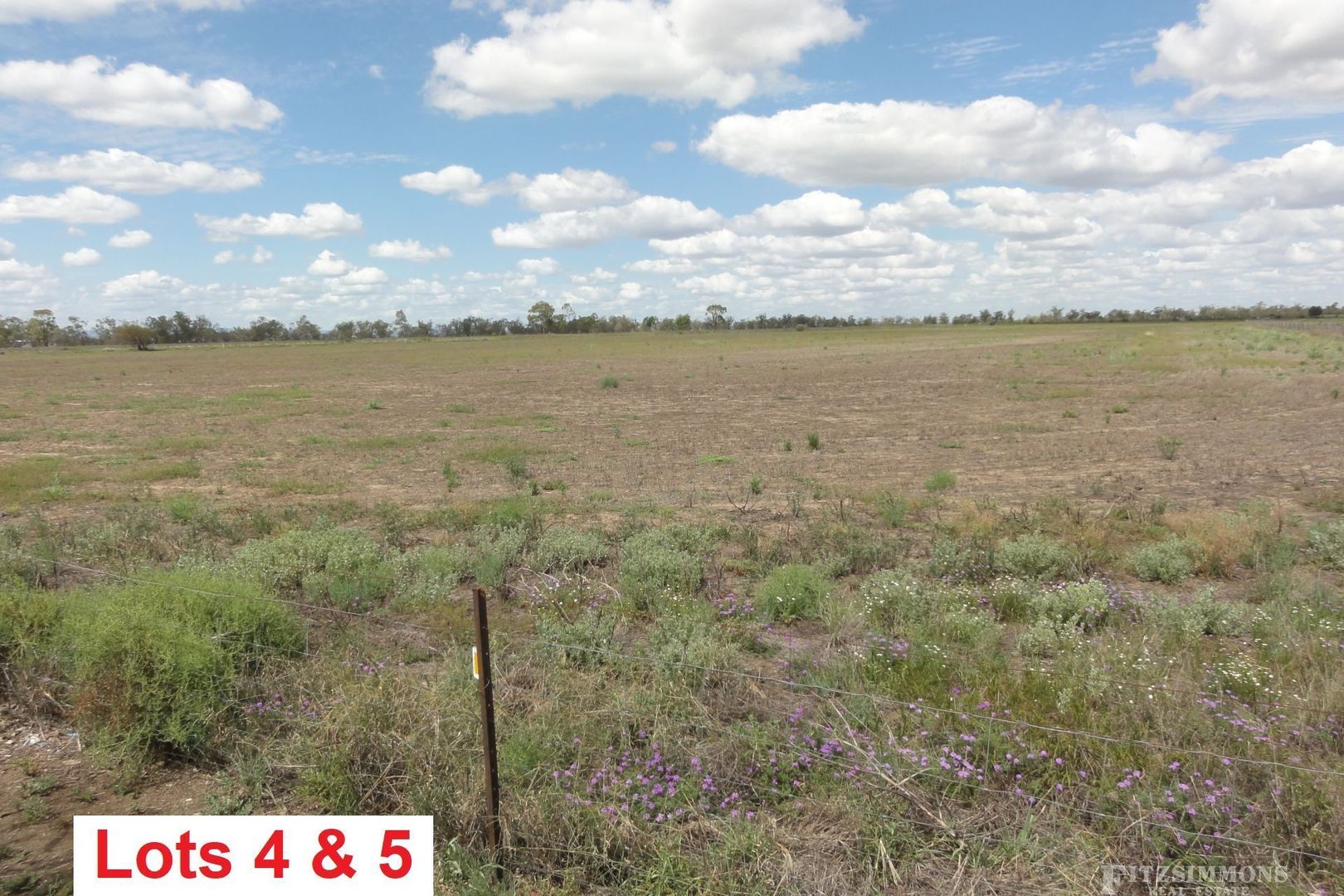 Moore Road, Dalby QLD 4405 Vacant Land for Sale Domain