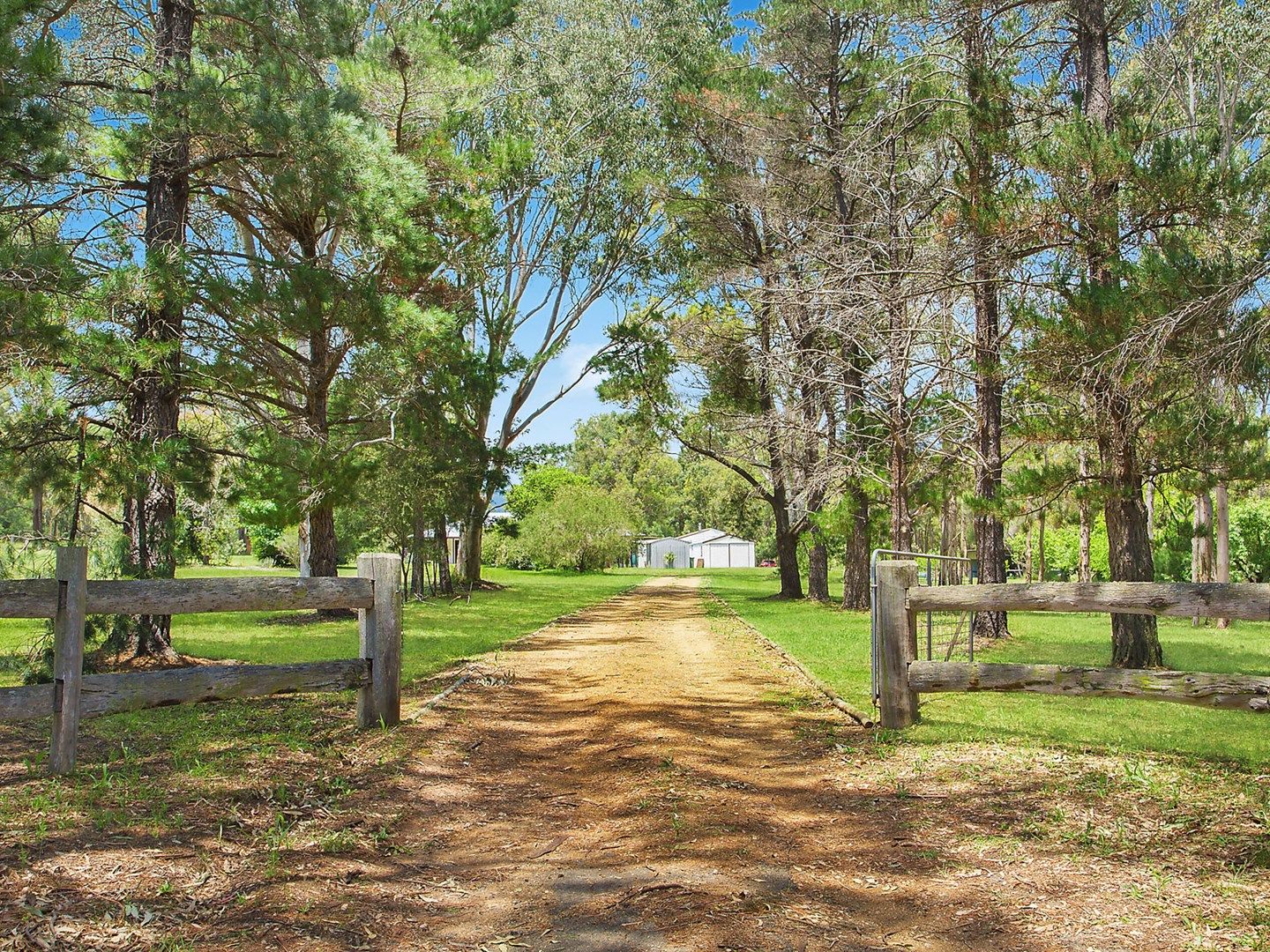 843 Sandy Creek Road, Quorrobolong NSW 2325, Image 0