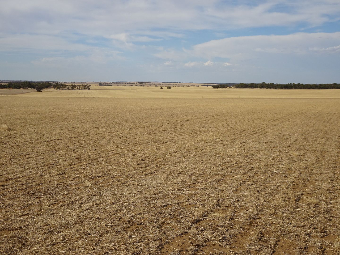 Treloars Road, North Kukerin WA 6352, Image 1