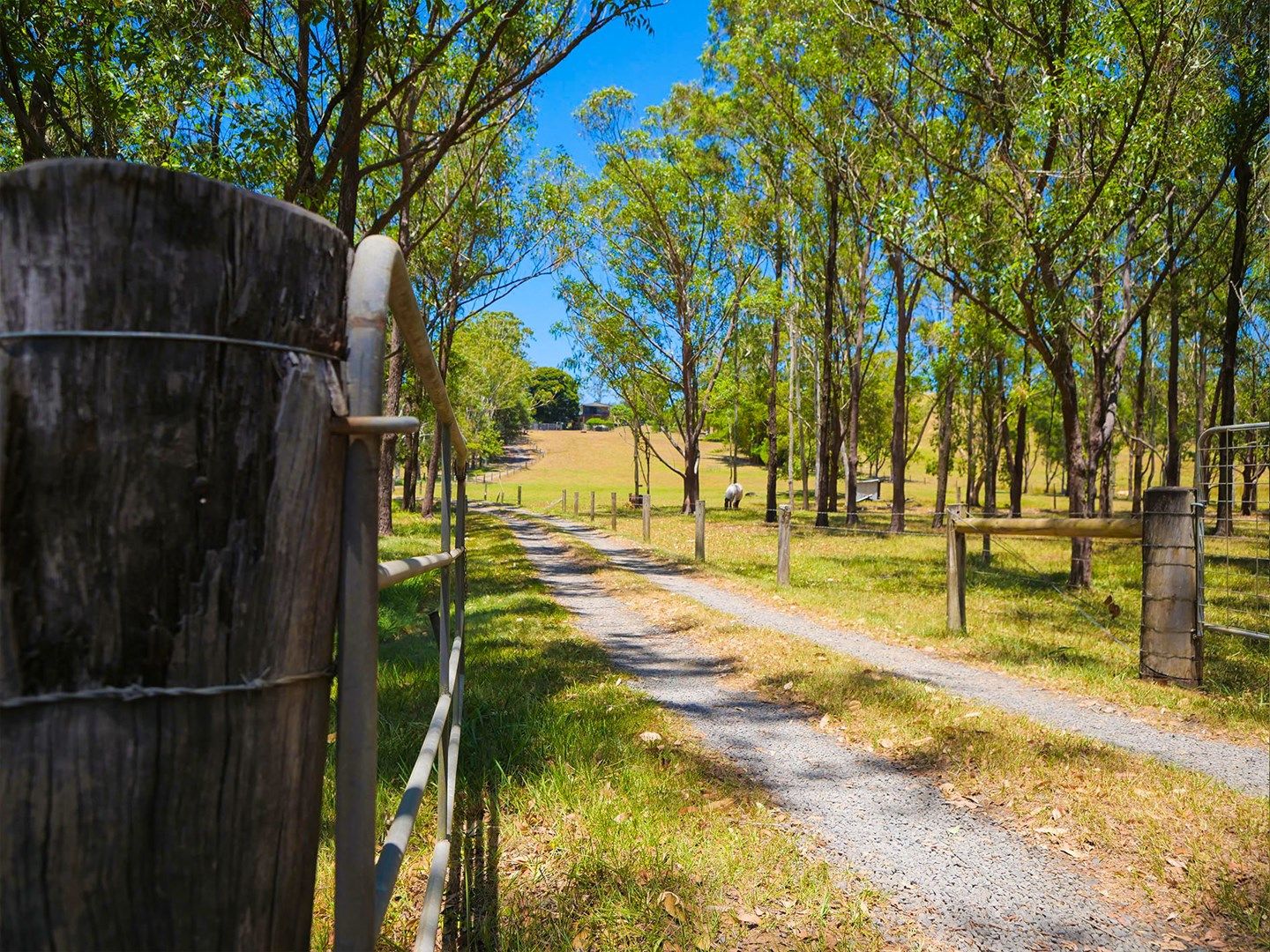 43 Mathieson Lane, Tucki Tucki NSW 2480, Image 0