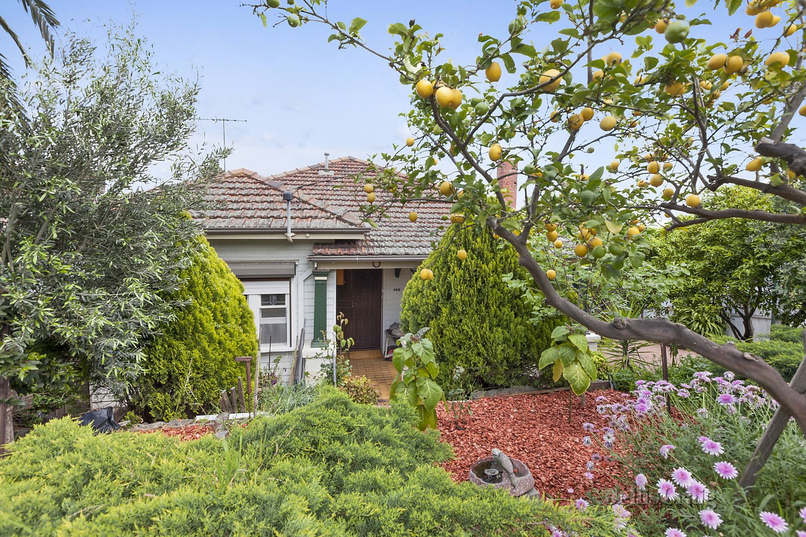 468 Moreland Road, Brunswick West VIC 3055, Image 1