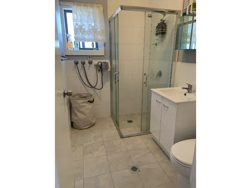 Additional image 7 of 4a Young Street, Mount Pritchard NSW 2170