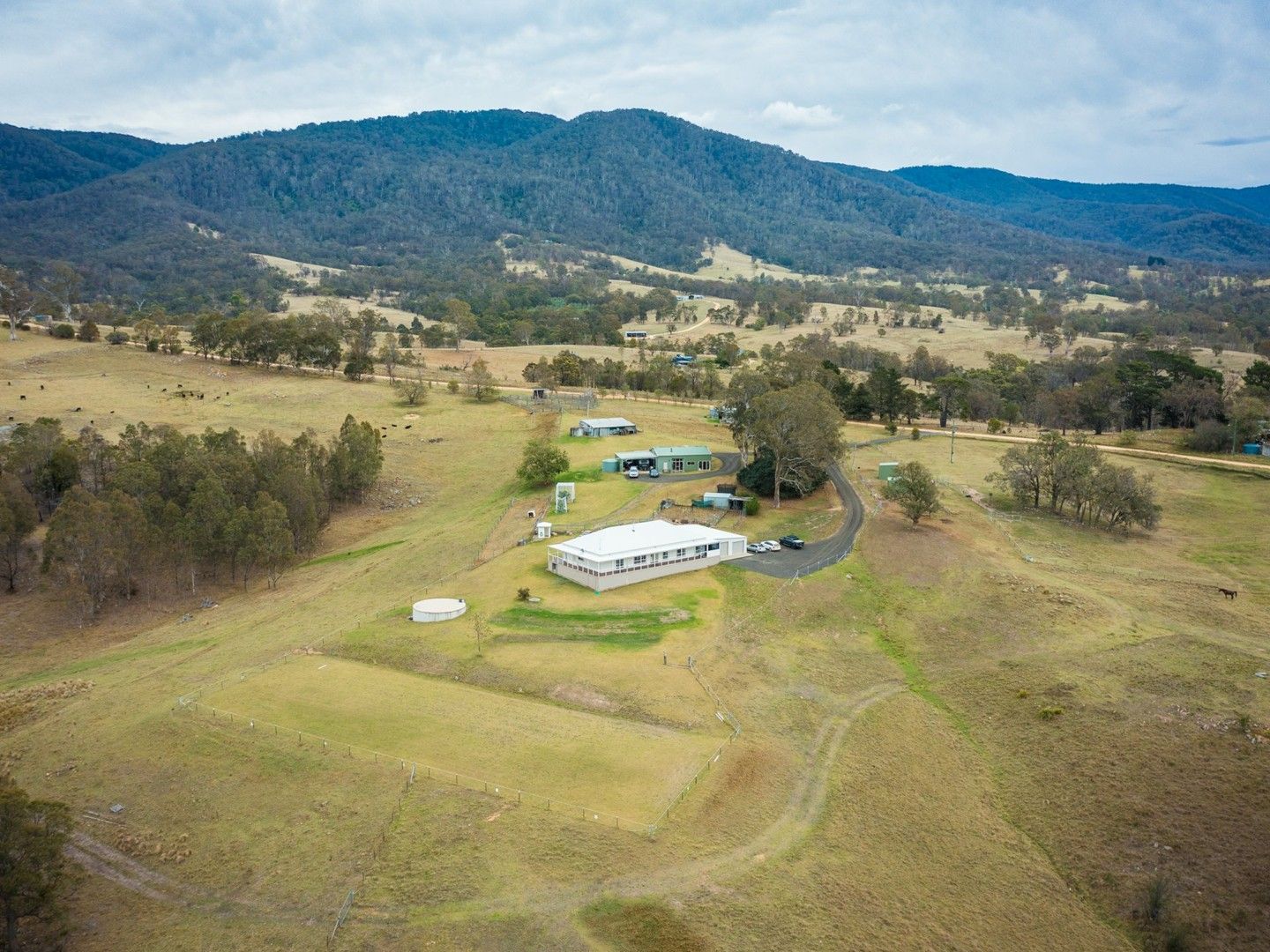 1005 Furners Road, Bemboka NSW 2550, Image 0