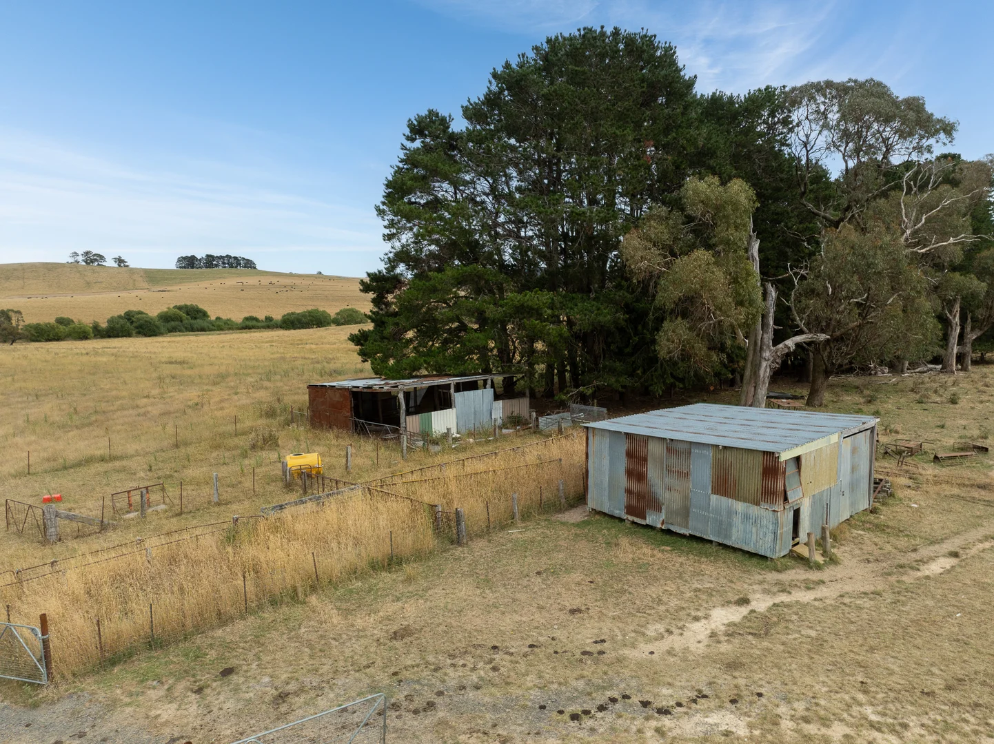Image 40