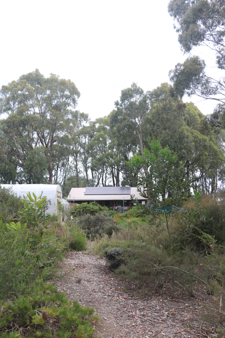 Image 21