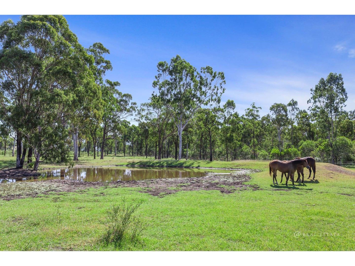 168 Mulara Road, Bondoola QLD 4703, Image 0