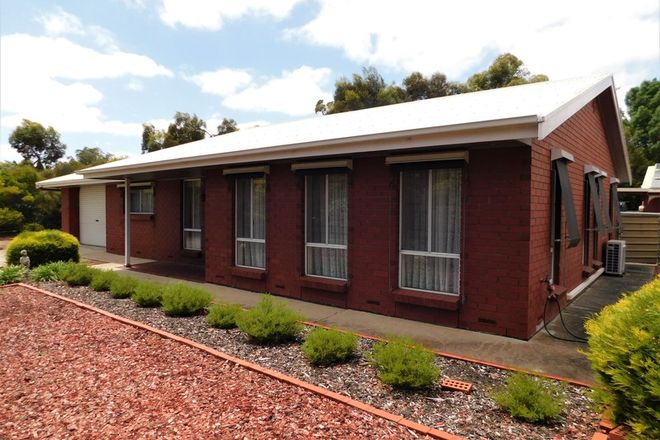 Picture of 32 Naracoorte Road, BORDERTOWN SA 5268