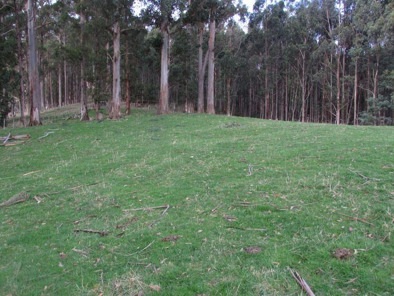 Lot 1 Hardy Road, Dover TAS 7117, Image 0