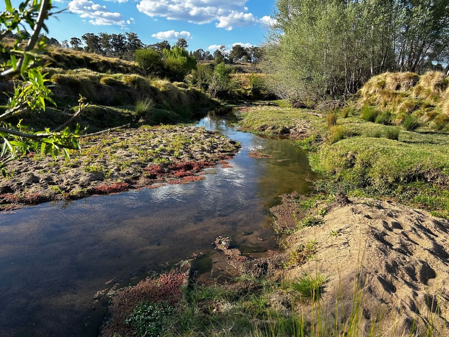 31B Leechs Gully Road, Tenterfield NSW 2372, Image 1