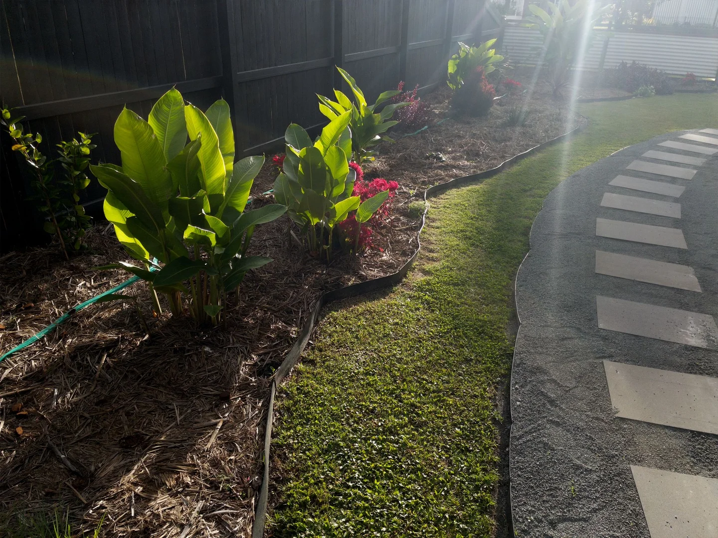 Image 15