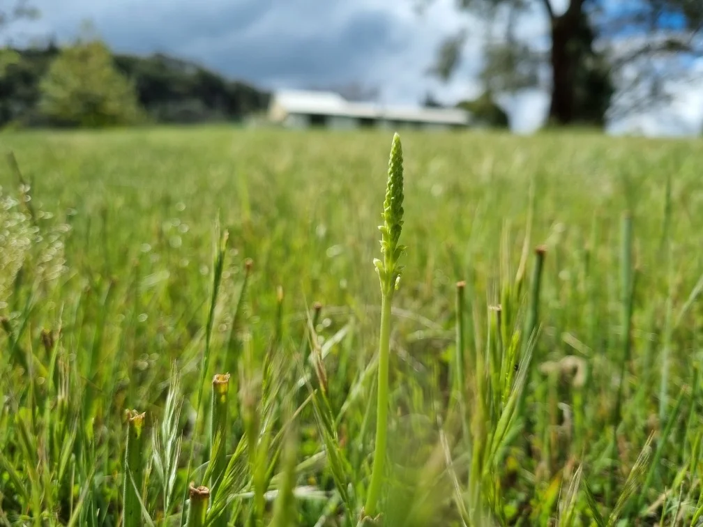 Additional image 16 of 2745 Ulan Road, Mudgee NSW 2850