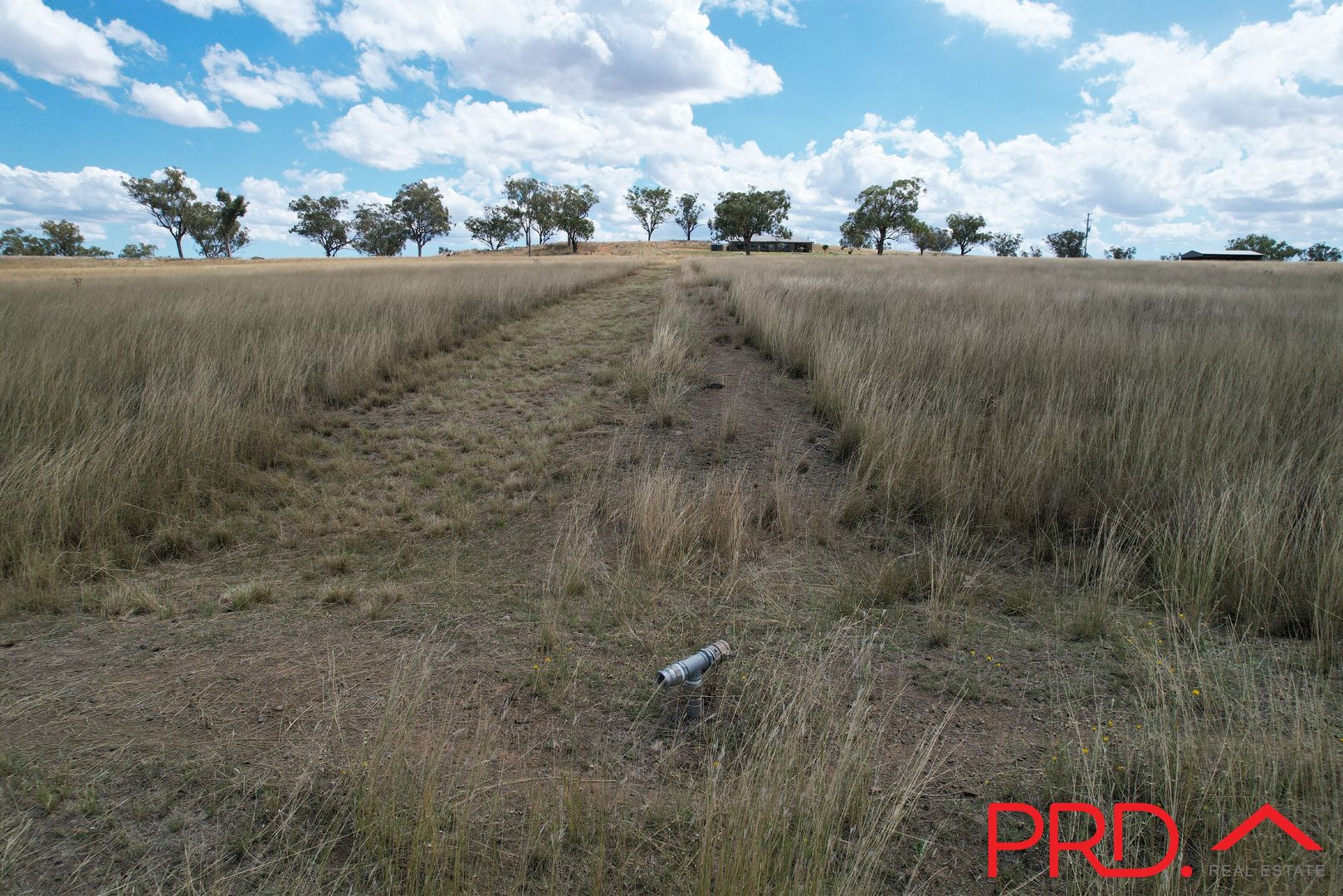 167 AscotCalala Road, Tamworth NSW 2340 House for Sale Domain