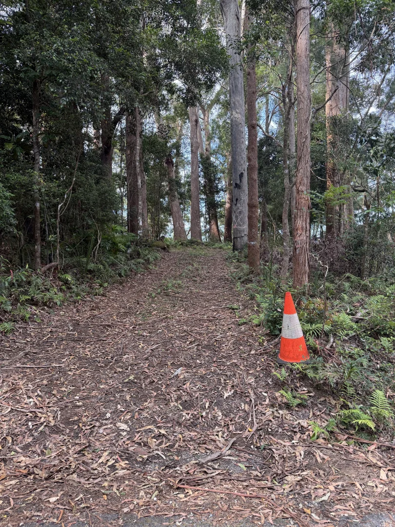 Additional image 4 of Springbrook QLD 4213