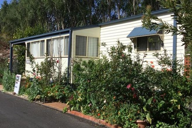 Picture of 3/3197 Princes Highway, PAMBULA NSW 2549