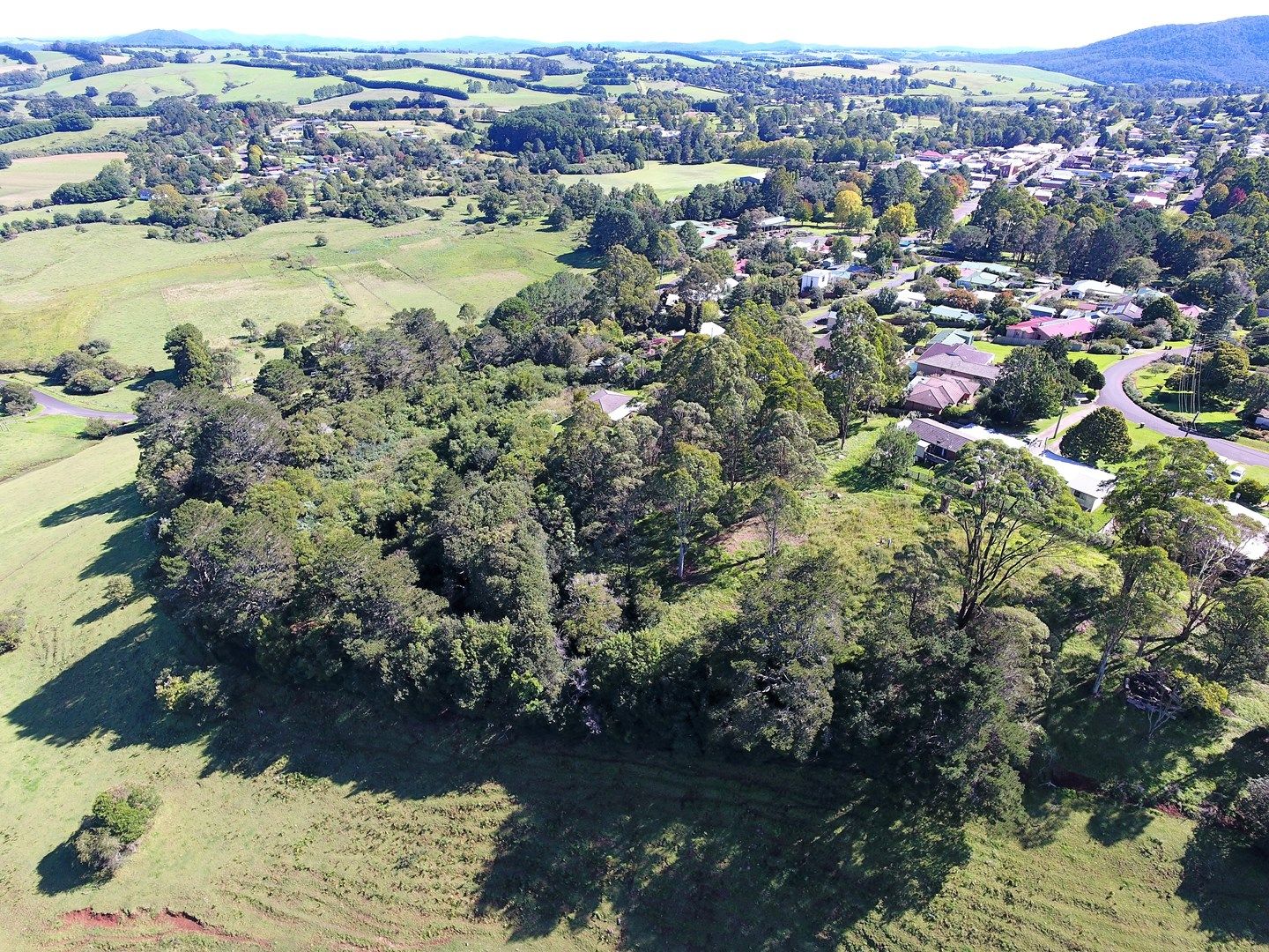 23 Hollibone St, Dorrigo NSW 2453, Image 0