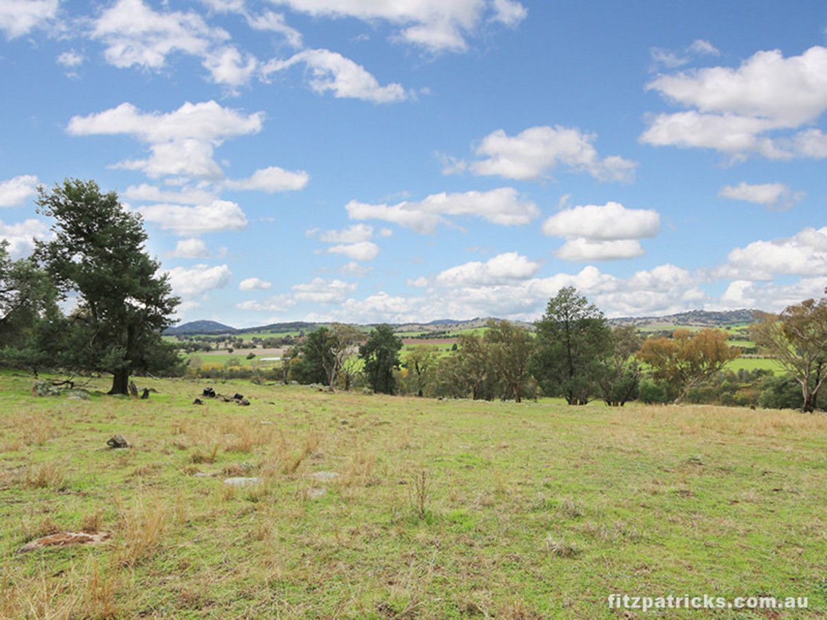 Lot 2 Holbrook Road, Maxwell NSW 2650, Image 1