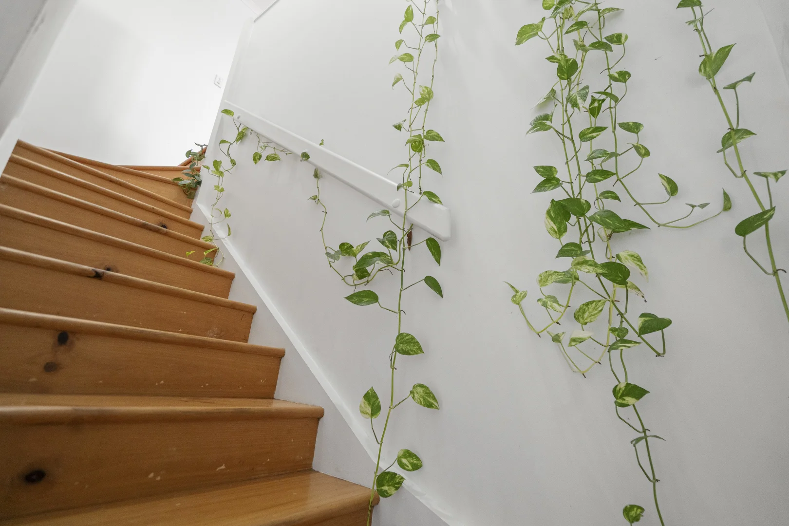 Additional image 23 of 218 Woongarra Scenic Drive, Bargara QLD 4670