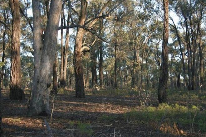 Picture of 391 Andersons Woolshed Road, GOBARUP VIC 3559