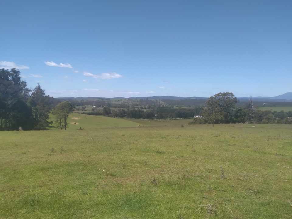 5550 Bridport Rd, Pipers River TAS 7252 House for Sale Domain
