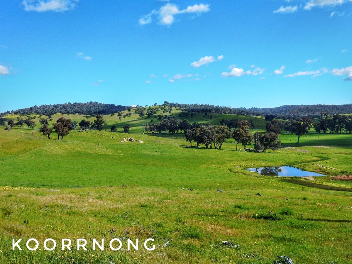 KOORRNONG - Comatawa Road, Tarcutta NSW 2652, Image 2