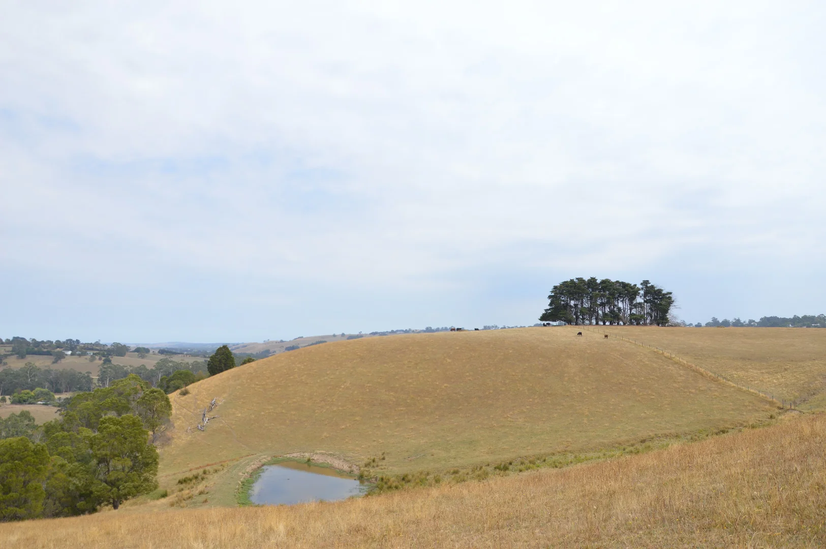 Additional image 15 of 790 Soldiers Road, Poowong VIC 3988