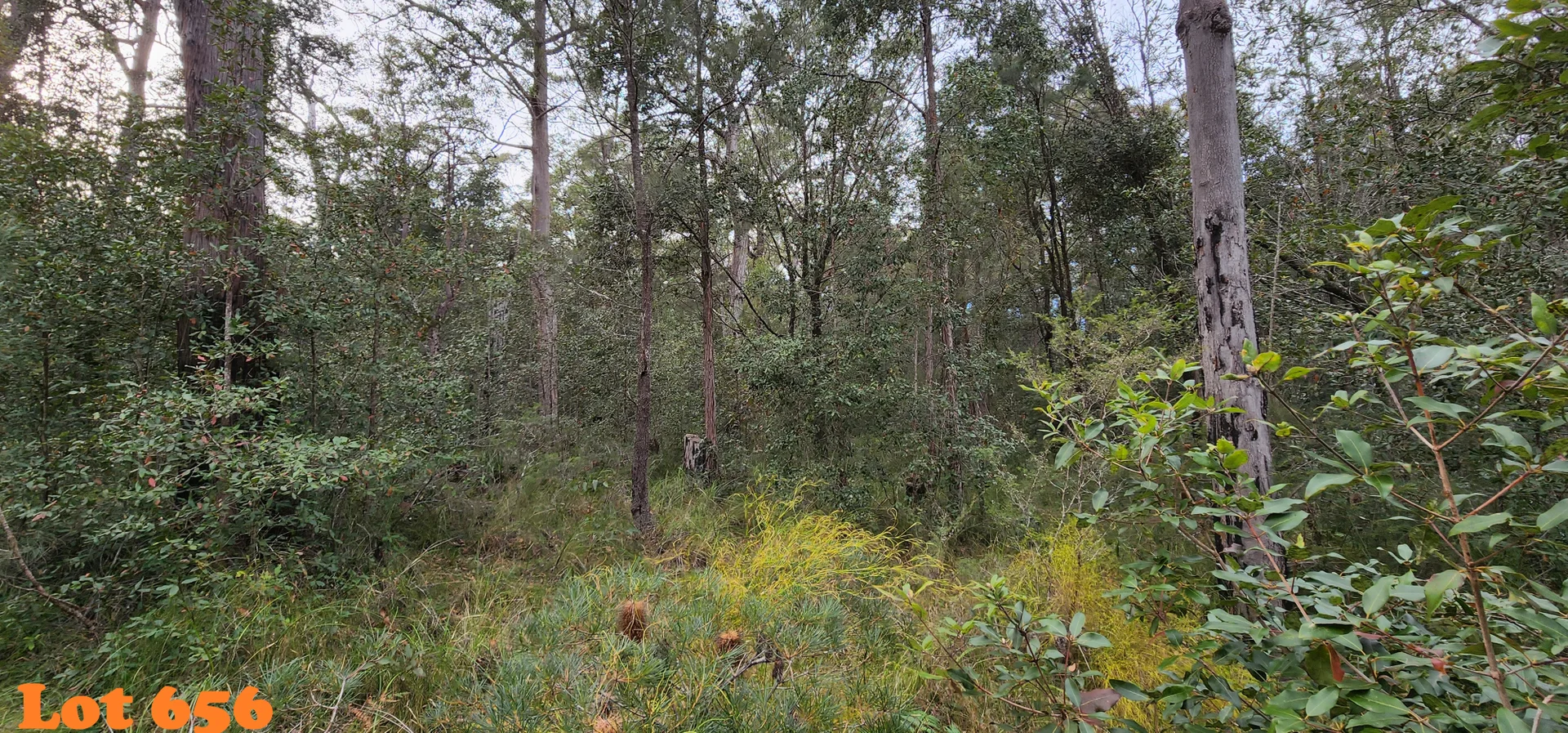 Image 6