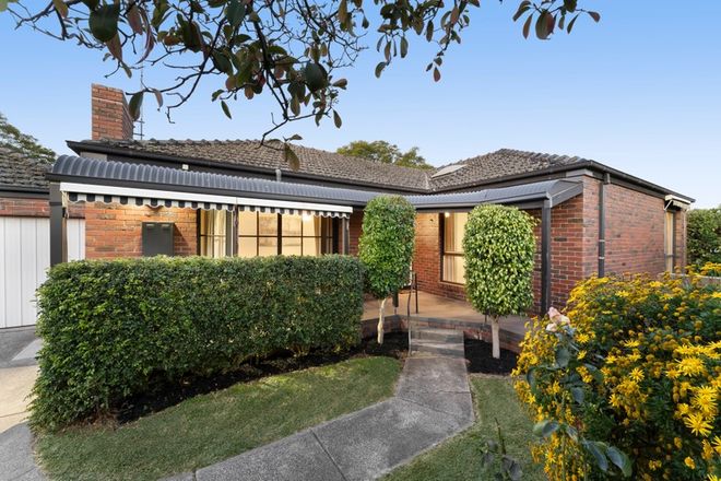 Picture of 2/3 Peace Street, GLEN IRIS VIC 3146