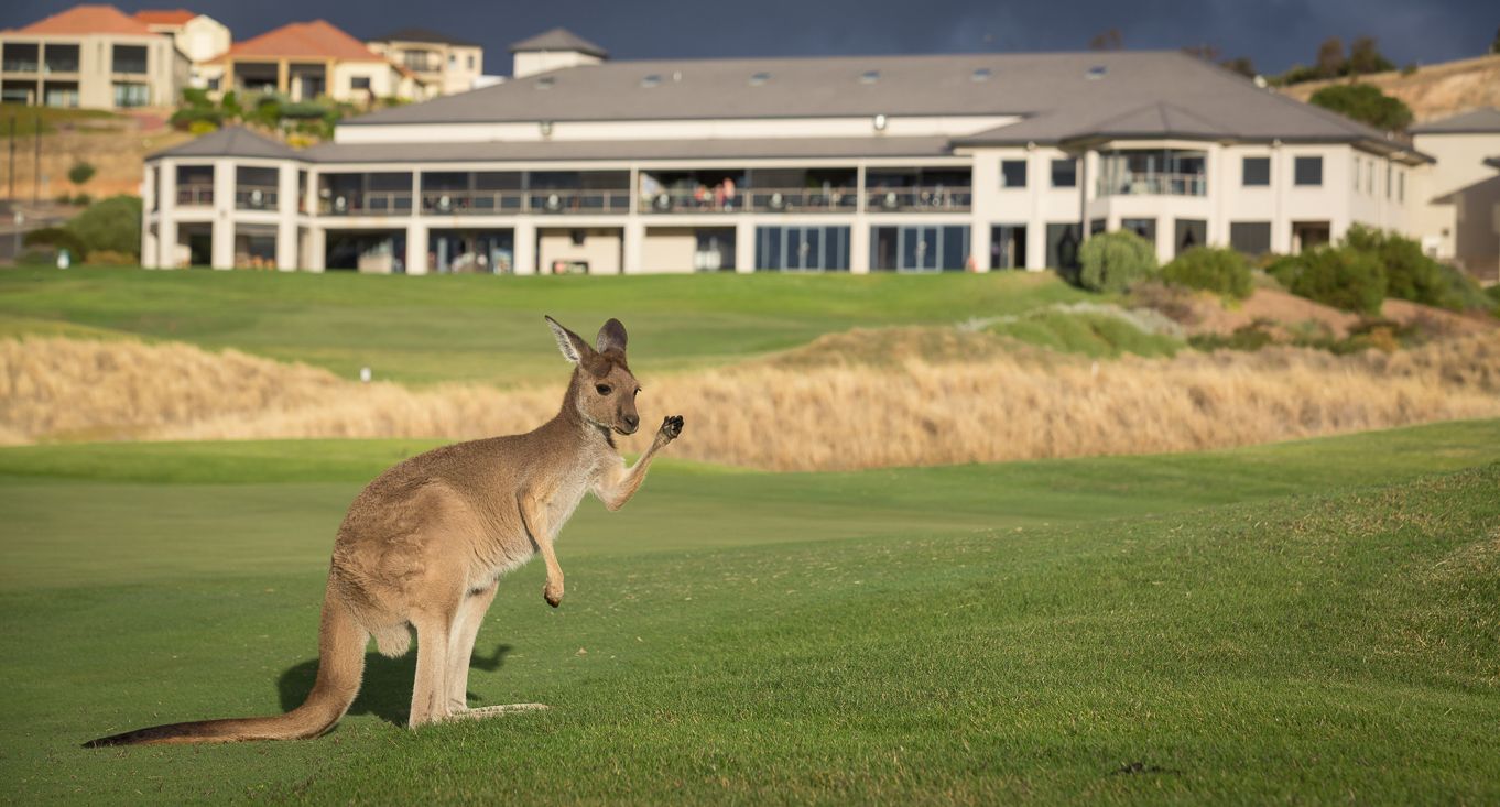 Lot 46/30 Troon Drive, Normanville SA 5204, Image 0