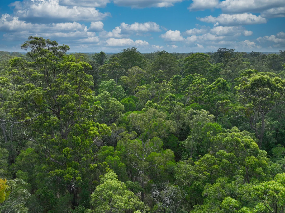 Additional image 15 of 554 Clearfield Road, Clearfield NSW 2469