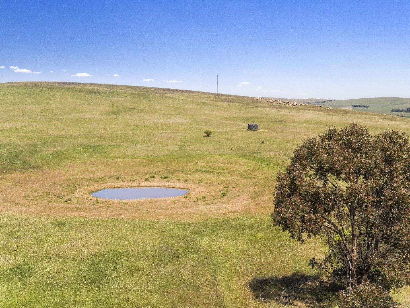 'Horse Paddock', Betterson Road, Hill River SA 5453, Image 0