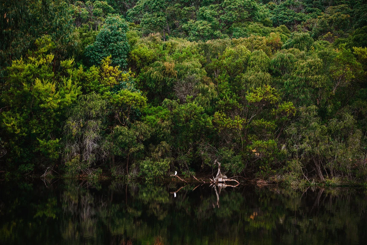 Additional image 12 of 700/102 Drummond Road, Forest Grove WA 6286