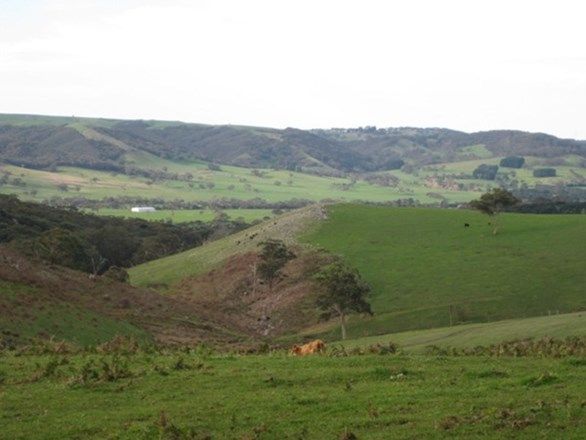 Lot 201 Springmount Road, Myponga SA 5202, Image 2