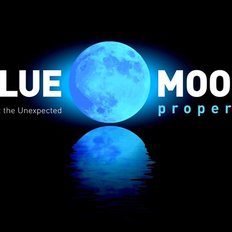 Blue Moon Property Cooroy