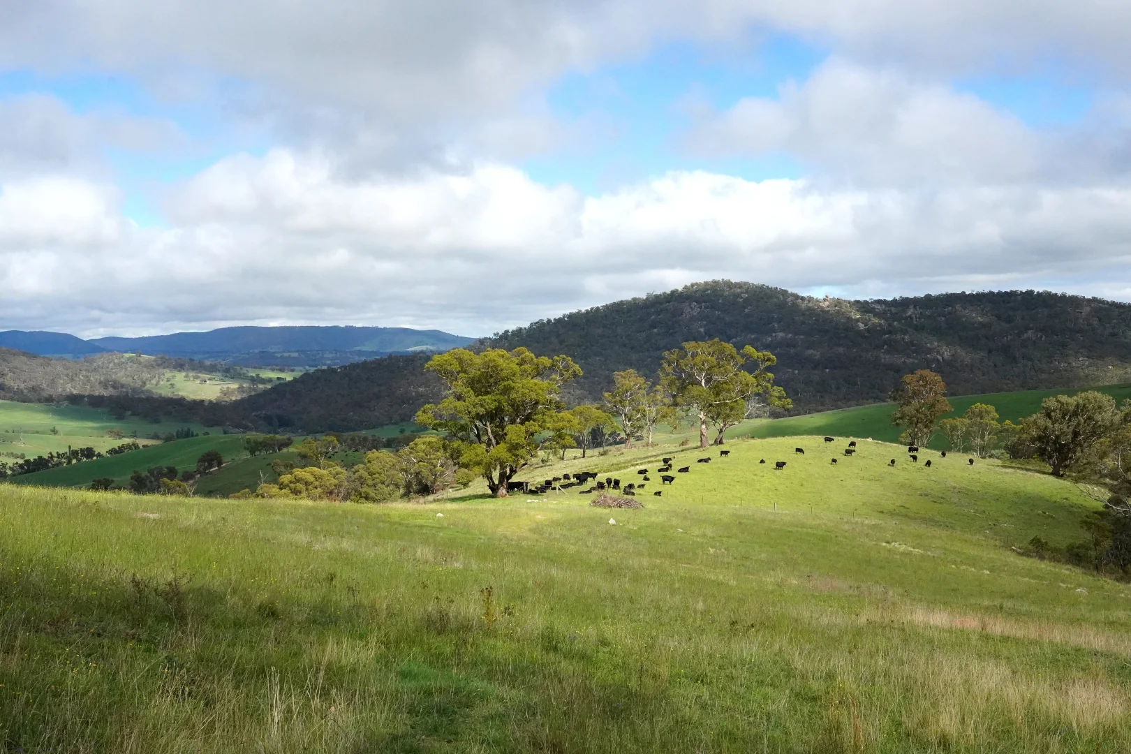 Additional image 30 of 410 Honeysuckle Falls Road, Tarana NSW 2787