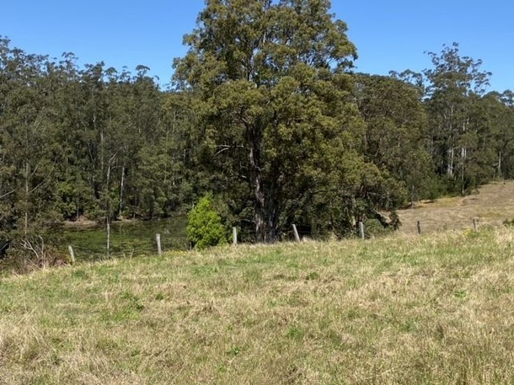 Lot 1 Afterlee Road - Afterlee, Kyogle NSW 2474, Image 0