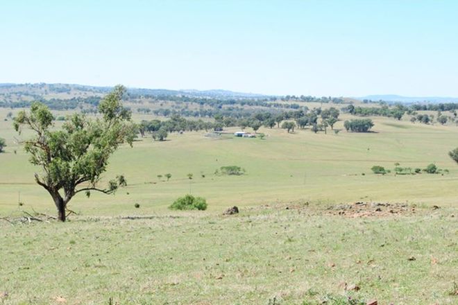 Picture of 'Tolga' Tolga Road, MUMBIL NSW 2820