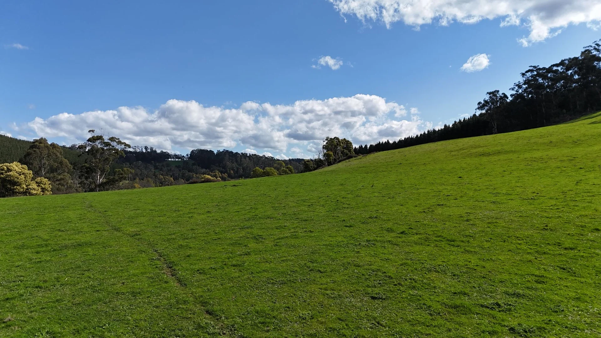 Image 25