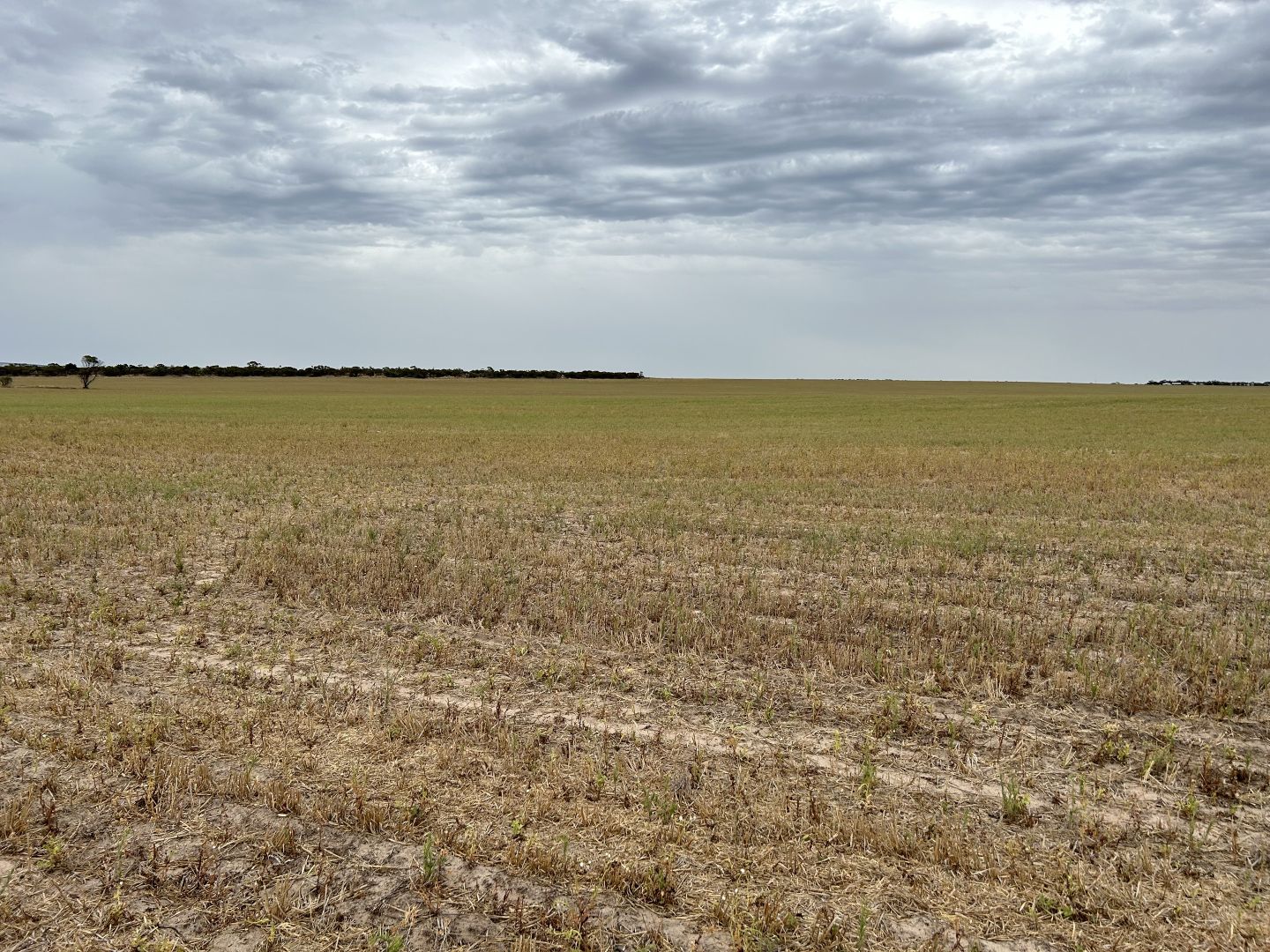 803 Nield Road, Rudall SA 5642 - House for Sale | Domain