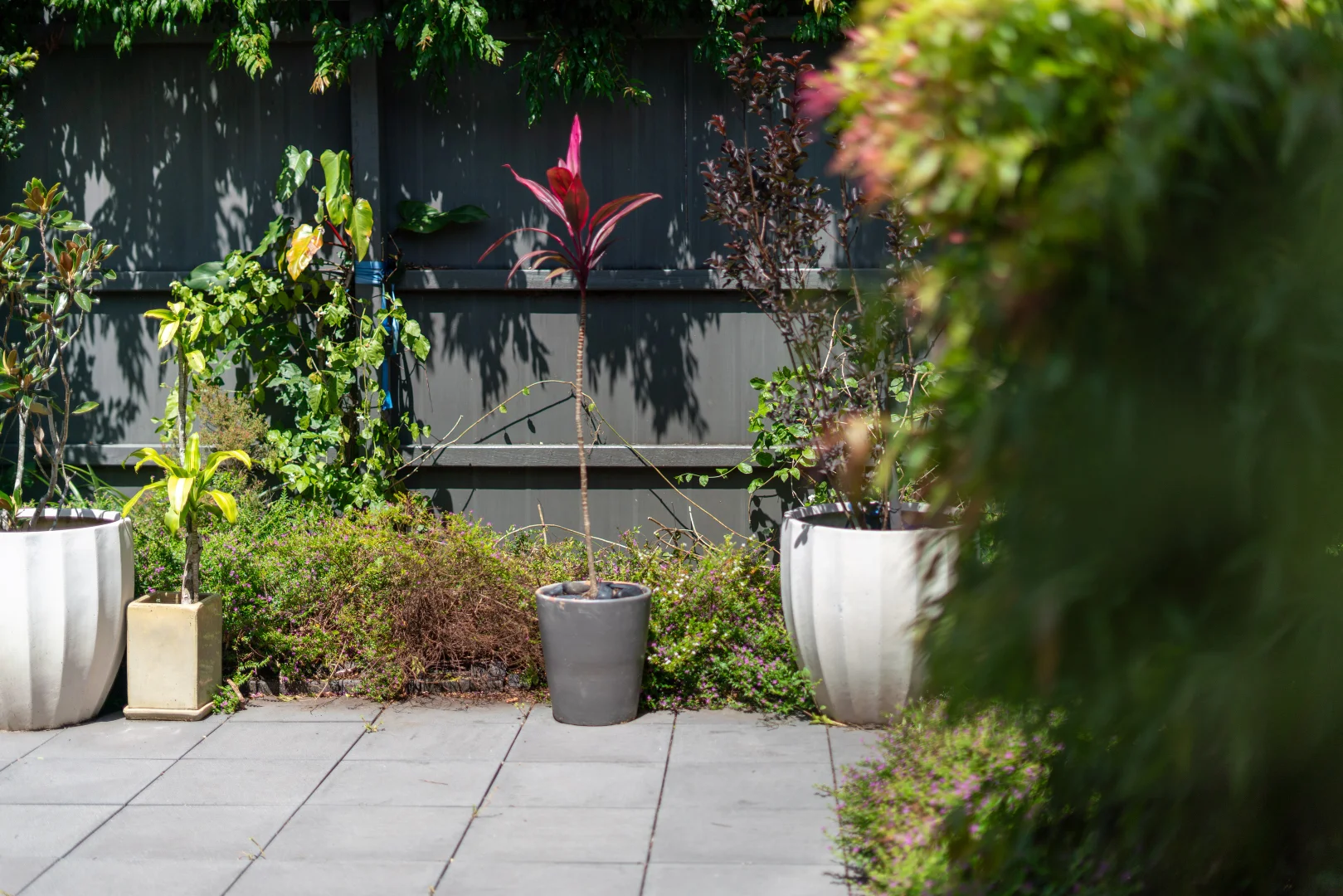 Additional image 19 of 10 Haskins Street, Baringa QLD 4551