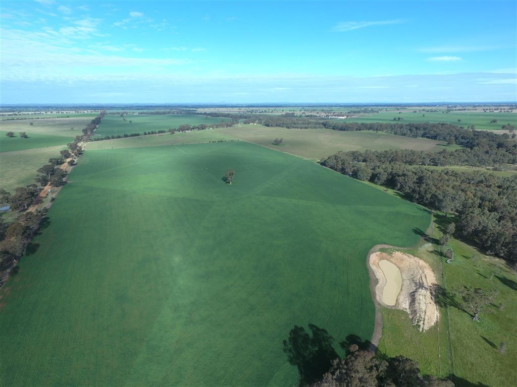 LOT 1/1203 GOORNONG - MAYREEF ROAD, Avonmore VIC 3559, Image 0