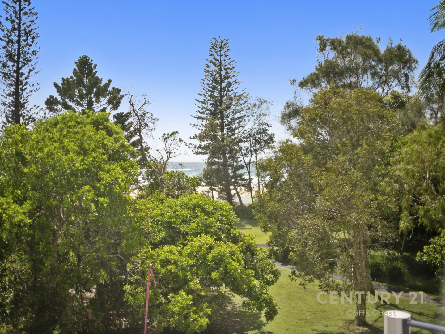 Image 35