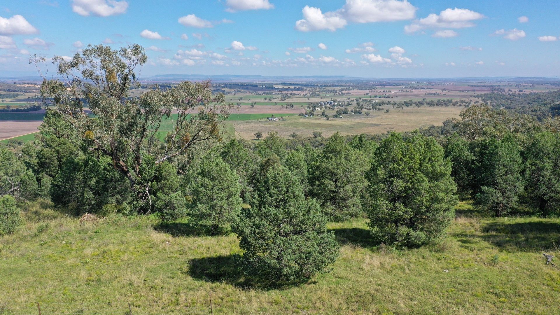 65 Ray Carter Drive, Quirindi NSW 2343, Image 0