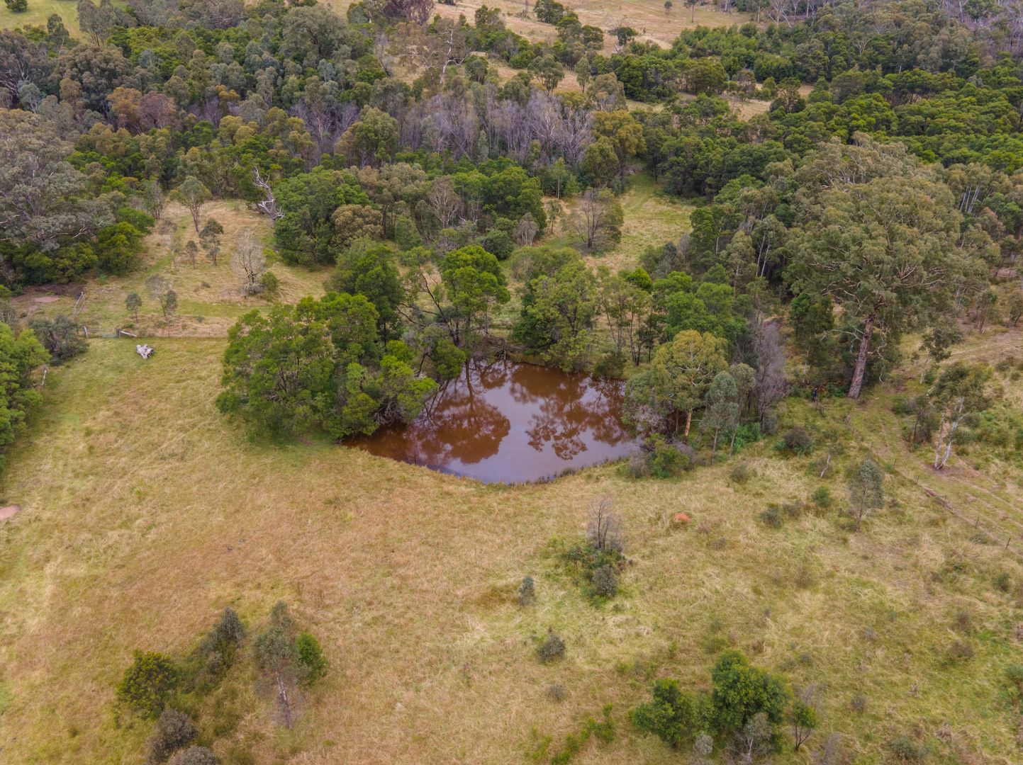 Lot 61 Oallen Road, Nerriga NSW 2622, Image 1