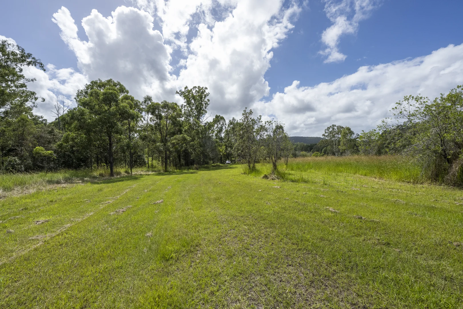 Additional image 8 of 800 Firth Heinz Road, Pillar Valley NSW 2462