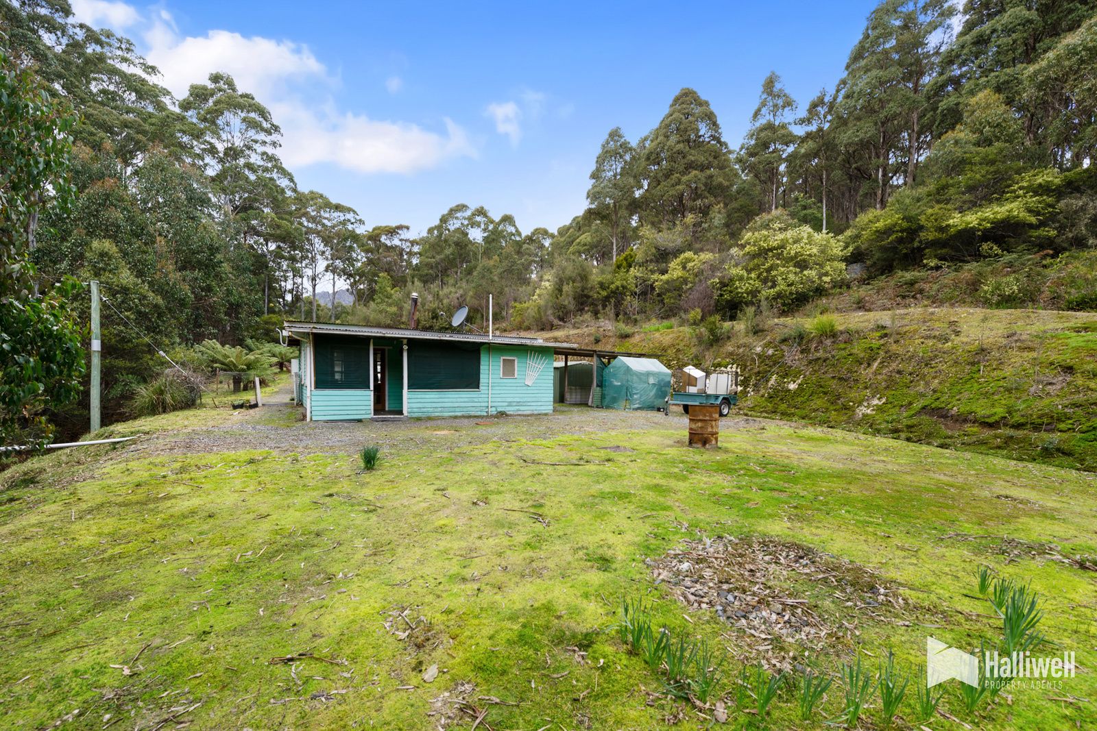 41 Main Street, Cethana TAS 7306, Image 2