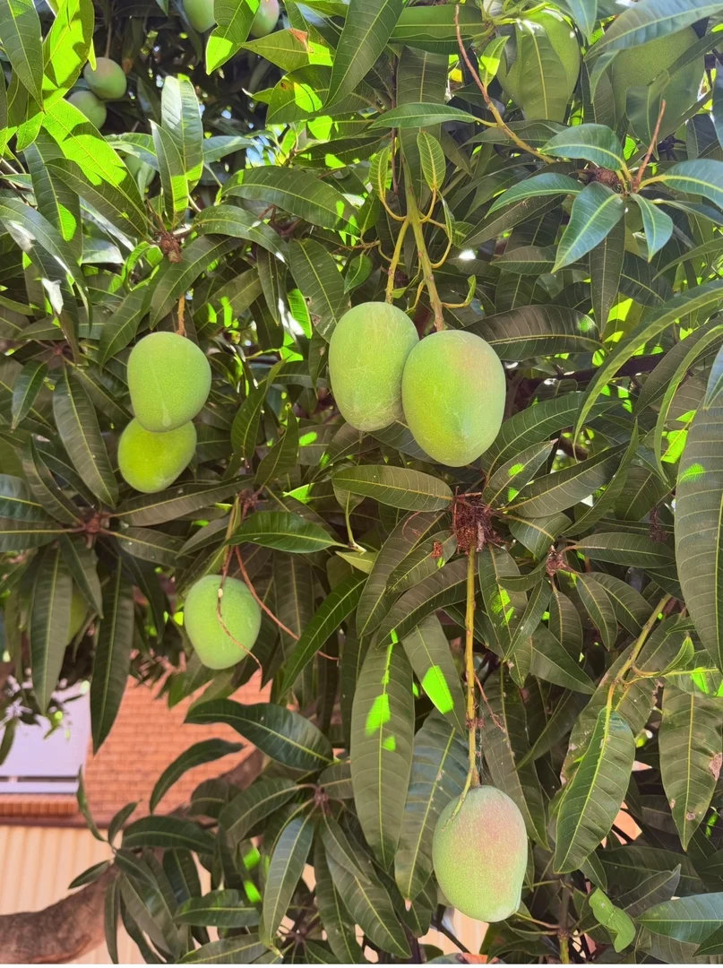 Additional image 26 of 109 Brisbane Road, St Johns Park NSW 2176