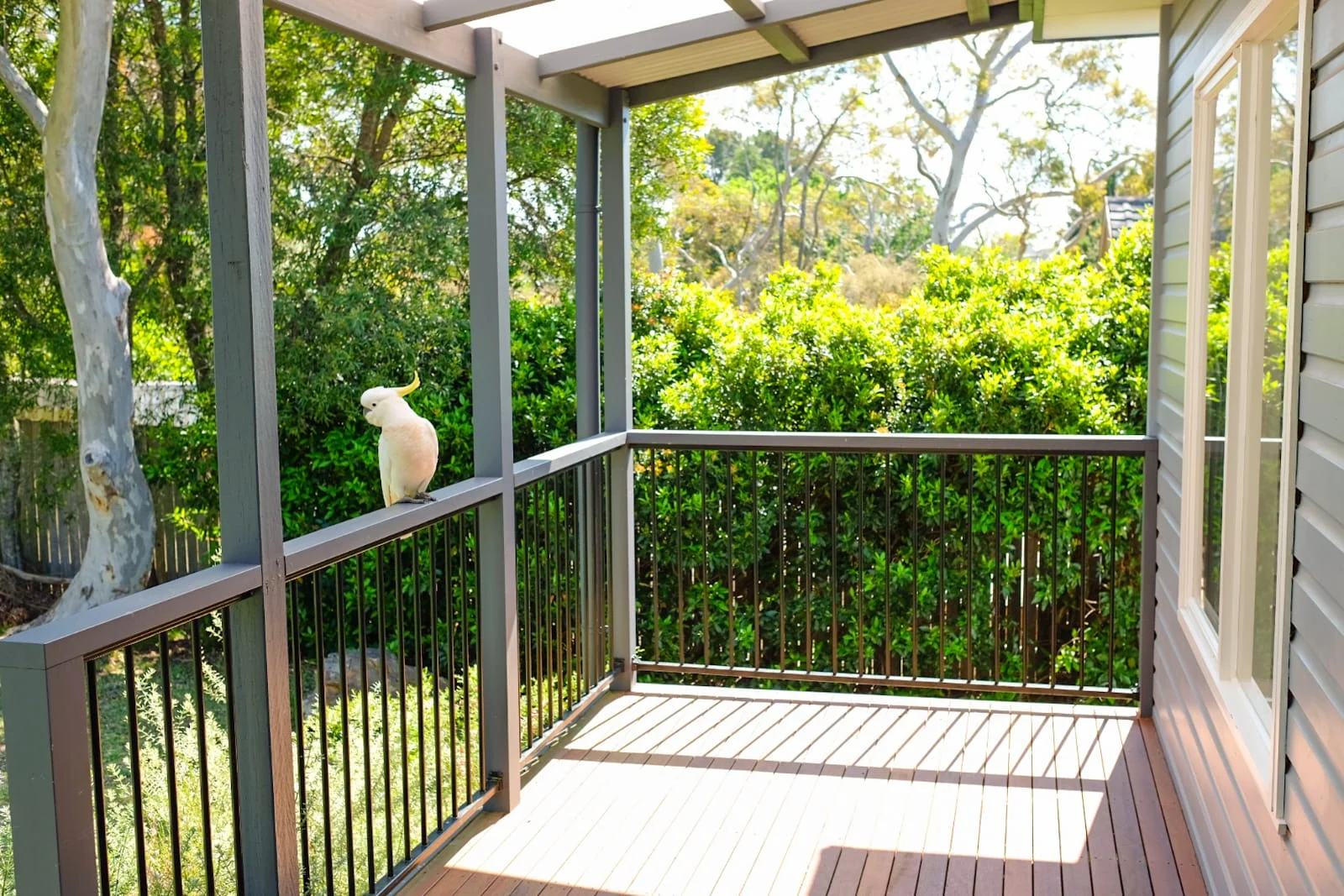 Additional image 18 of 24 Murri St, Blackheath NSW 2785