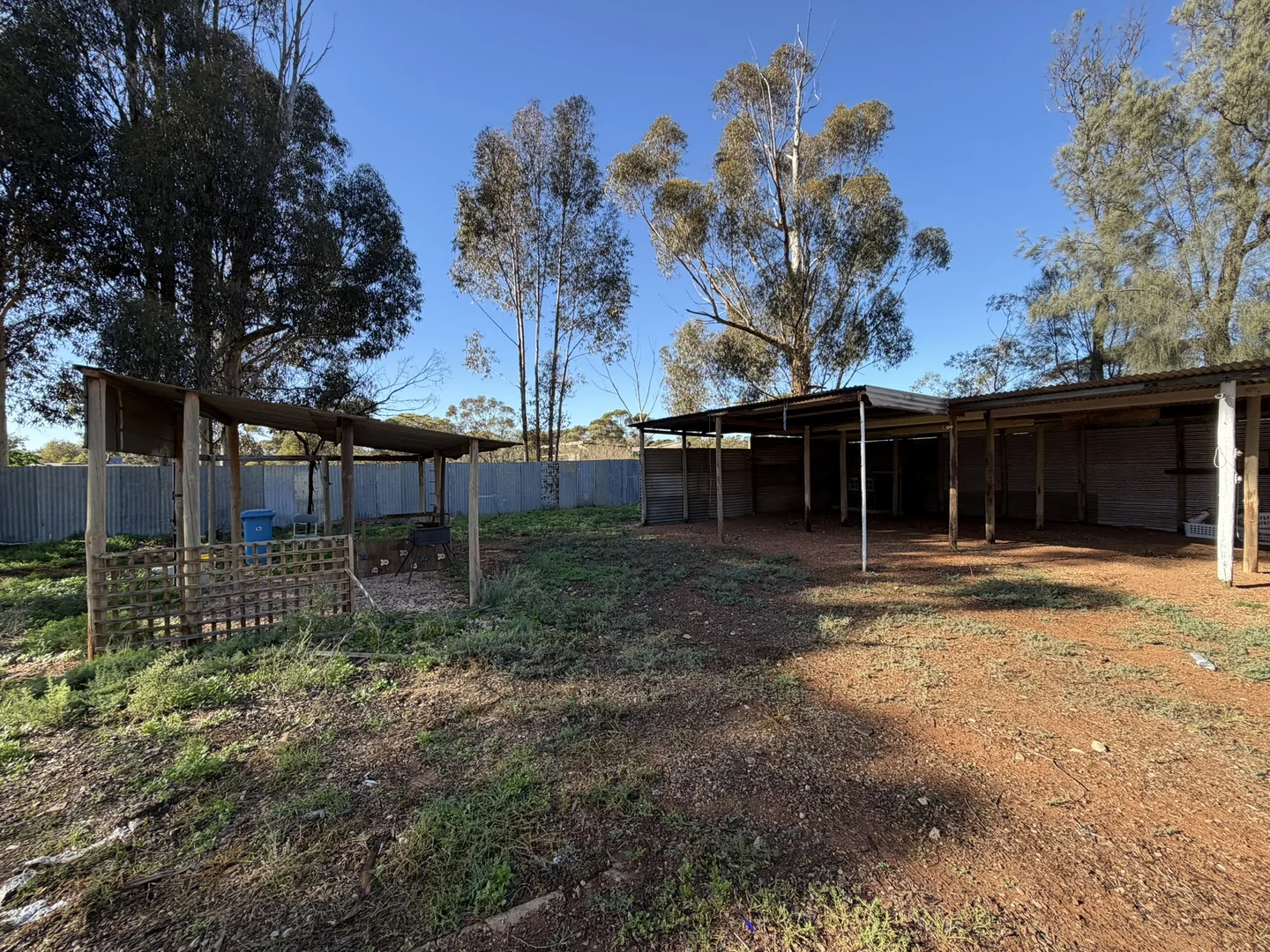 Image 14