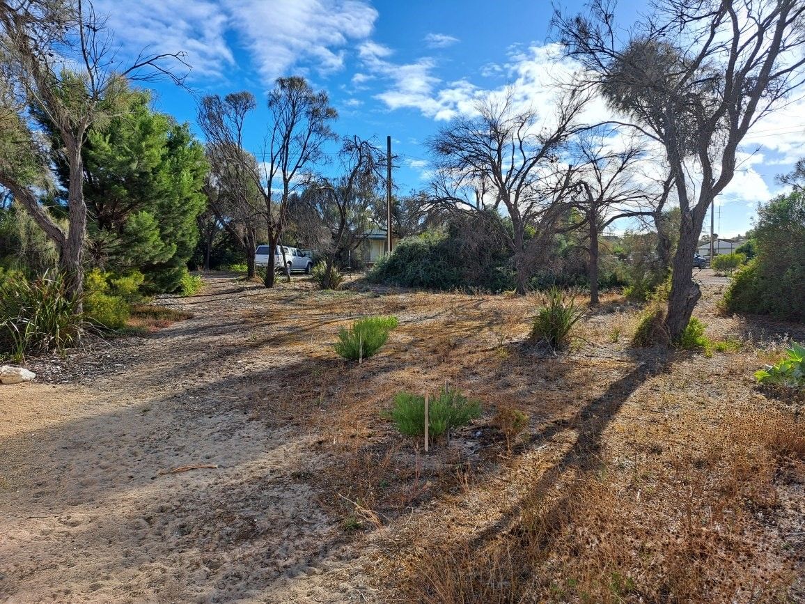 2 Mistletoe Drive, The Pines SA 5577, Image 1